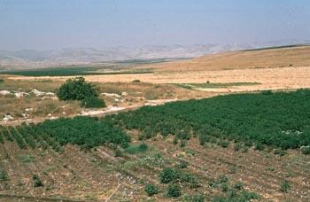 Аиалонская долина в Израиле