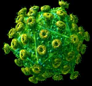 Вирус иммунодефицита человека (ВИЧ), вызывающий СПИД